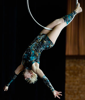 aerial hoops